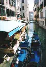 �S���h���͍���̉ԁc