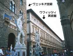 �E�t�B�b�c�B���p��