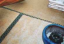 �͂��͂��̏�