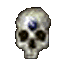 perfect skull